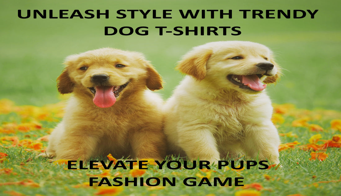 Unleash Style with Trendy Dog T-Shirts: Elevate Your Pup's Fashion Game