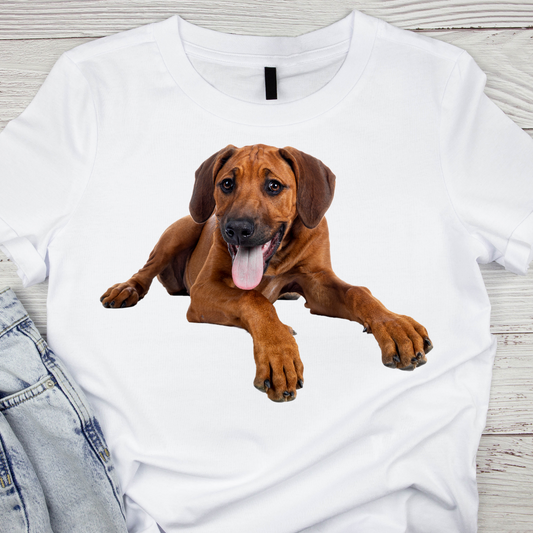 Funny cute dog Pawsitively Stylish Canine Couture ladies tee - Premium t-shirt from Lees Krazy Teez - Just $19.95! Shop now at Lees Krazy Teez