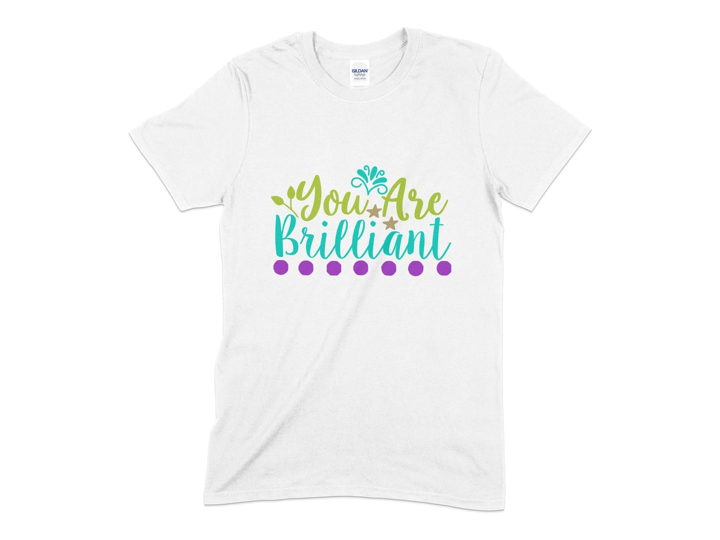 you are brilliant womens tee shirt - Premium t-shirt from MyDesigns - Just $19.95! Shop now at Lees Krazy Teez